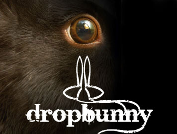 dropbunny